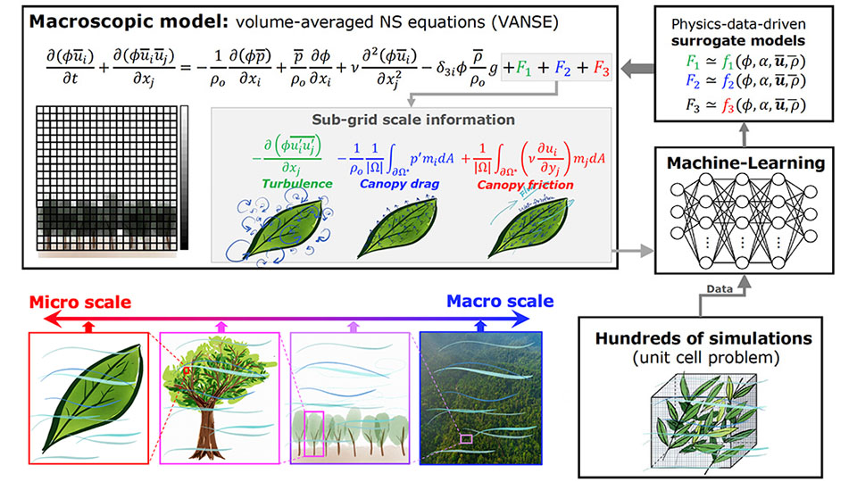 Illustration of Data-Driven Modeling of Vegetation-Airflow Interaction